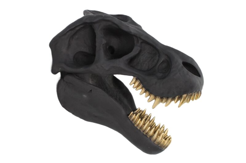 Dekoracja ścienna T-REX 40 cm – trójwymiarowa głowa dinozaura 48059
